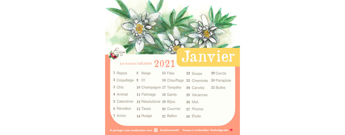 Pour bien commencer l'Année 2021