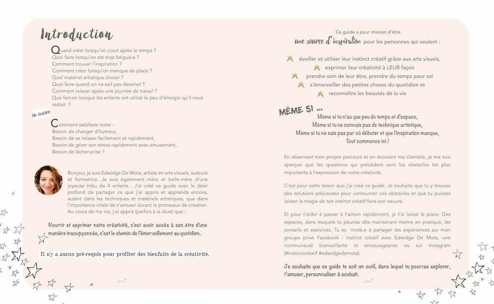Instinct créatif  (le Livre)