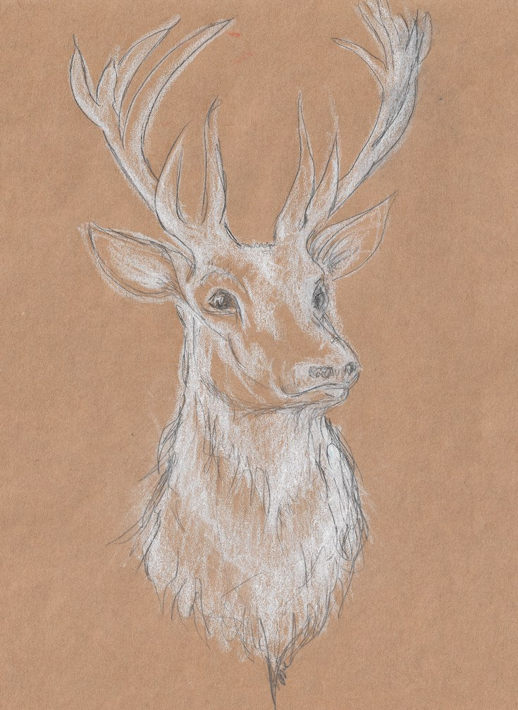 Cerf, Deer Illustration, Beautiful Deer Illustration hand made, White deer, Edemota, Edwidge De Mota, Brown decor, Nature decor, wood decor, forest decor
