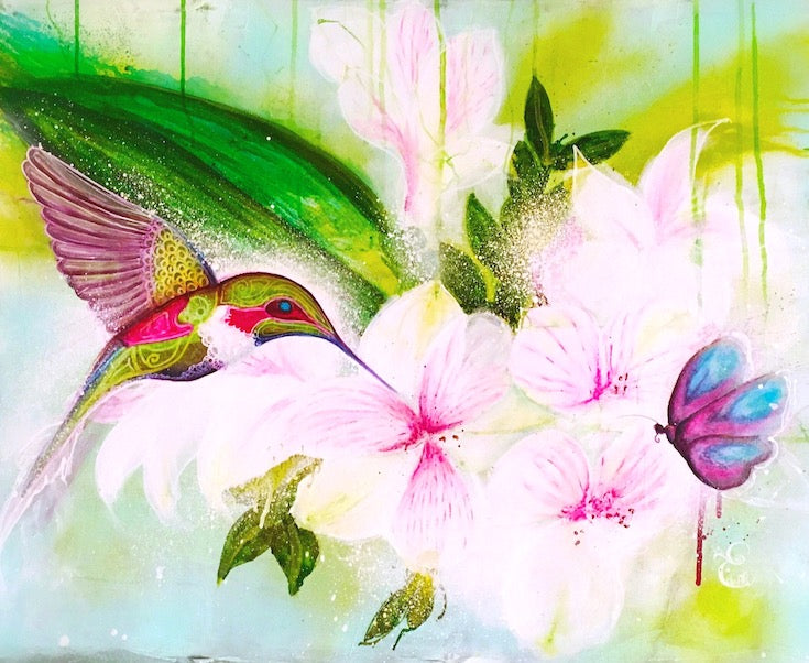 La danse du colibri