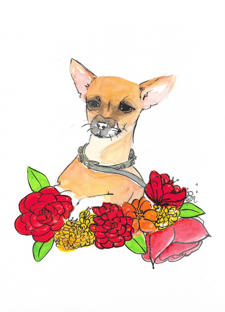 Chiwawa, Illustration, Beautiful Chiwawa illustration, watercolor, aquarelle, flowers, mexican inspiration, Frida, dog, red flower, hand made, Edemota, Edwidge De Mota, Home decor, Boho decor, Chiwawa fan