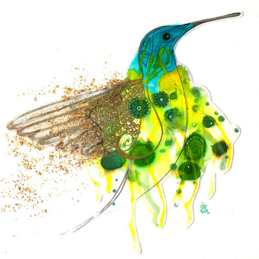 Colibri, hummingbird, Bird, Oiseau, Edwidge De Mota, Edemota