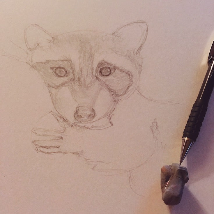 Raton laveur illustration, raccoon Illustration, Illustration, Watercolor, Aquarelle, Animal Totem, Animal Illustration, Cute raccoon artwork, Home decor, Cute home decor, boho decor, baby room decor, baby room illustration, chambre de bébé, Edemota, Edwidge De Mota, Artiste canadienne, artiste française