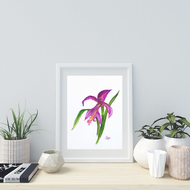 Amaryllis #10