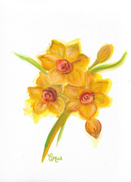 Narcisses