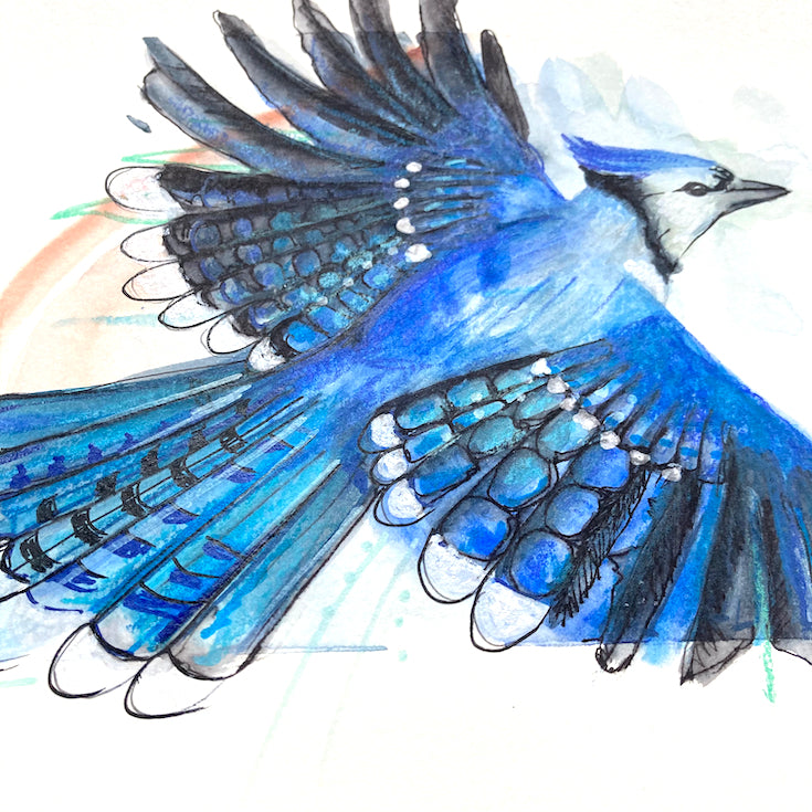 Blue Jay bird, Blue Jay illustration, hand made illustration, Geai bleu illustration, watercolor, mixed media, drawing, Edwidge De Mota, Edemota, Home decor, Blue decor, original artwork,