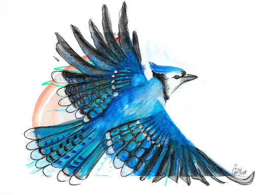 Blue Jay bird, Blue Jay illustration, hand made illustration, Geai bleu illustration, watercolor, mixed media, drawing, Edwidge De Mota, Edemota, Home decor, Blue decor, original artwork,