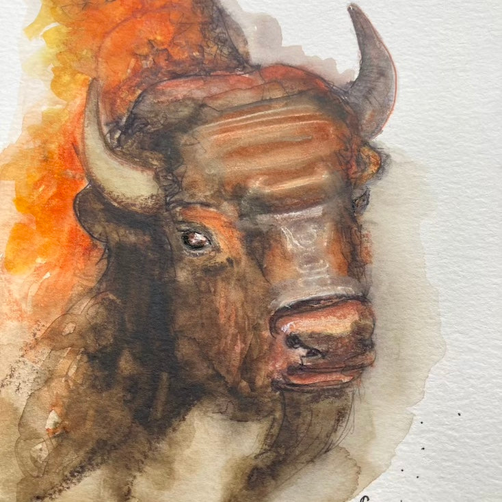 Bison, Buffalo, Watercolor, Aquarelle, Totem, Animal, edemota, Edwidge De Mota,