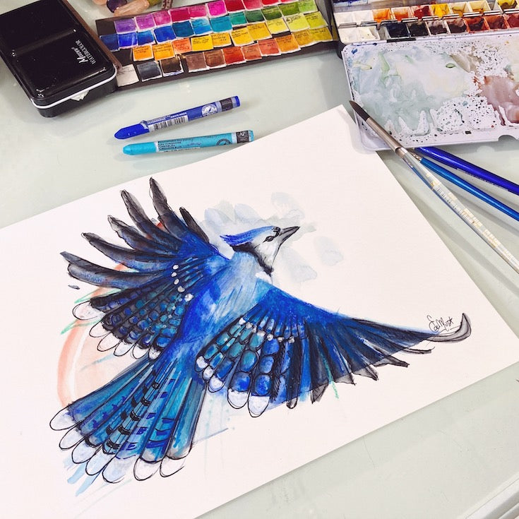 Blue Jay bird, Blue Jay illustration, hand made illustration, Geai bleu illustration, watercolor, mixed media, drawing, Edwidge De Mota, Edemota, Home decor, Blue decor, original artwork,