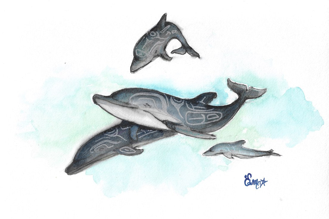 Dauphin, Dolphin, Haida, Totem, Illustration, Watercolor, Aquarelle, Animal, Edemota, Edwidge De Mota, Haida