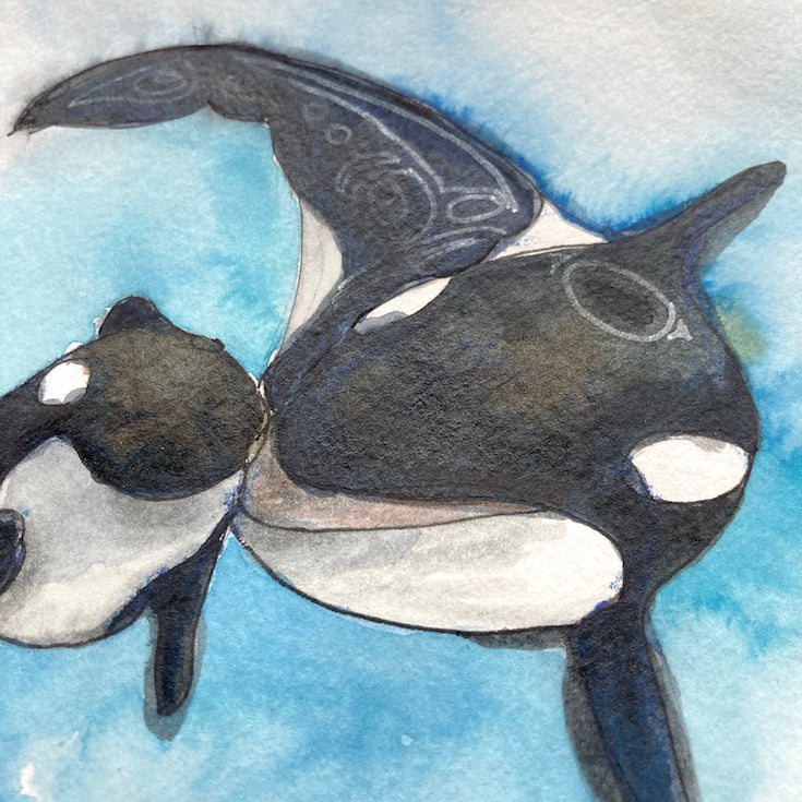 orque, orca, épaulard, illustration, watercolor, aquarelle, animal, totem, mum and son, maman et fils, mum and baby, baby, maman et bébé, Haida,Edemota, Edwidge De Mota