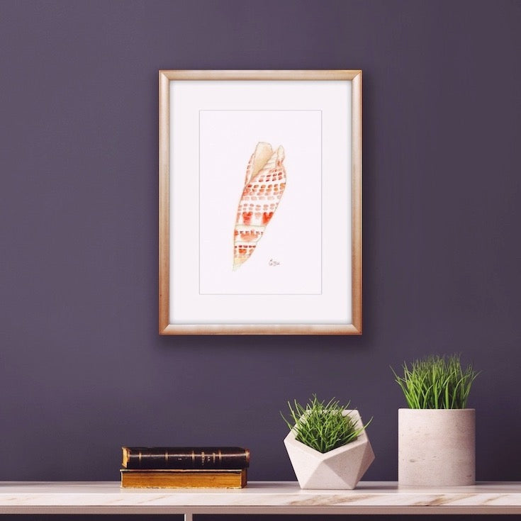 Coquillage, Shell, Orange, Illustration, African, Zanzibar, Home decor, Edwidge De Mota, Edemota