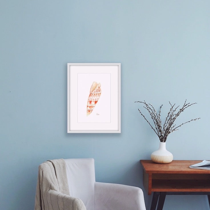 Coquillage, Shell, Orange, Illustration, African, Zanzibar, Home decor, Edwidge De Mota, Edemota
