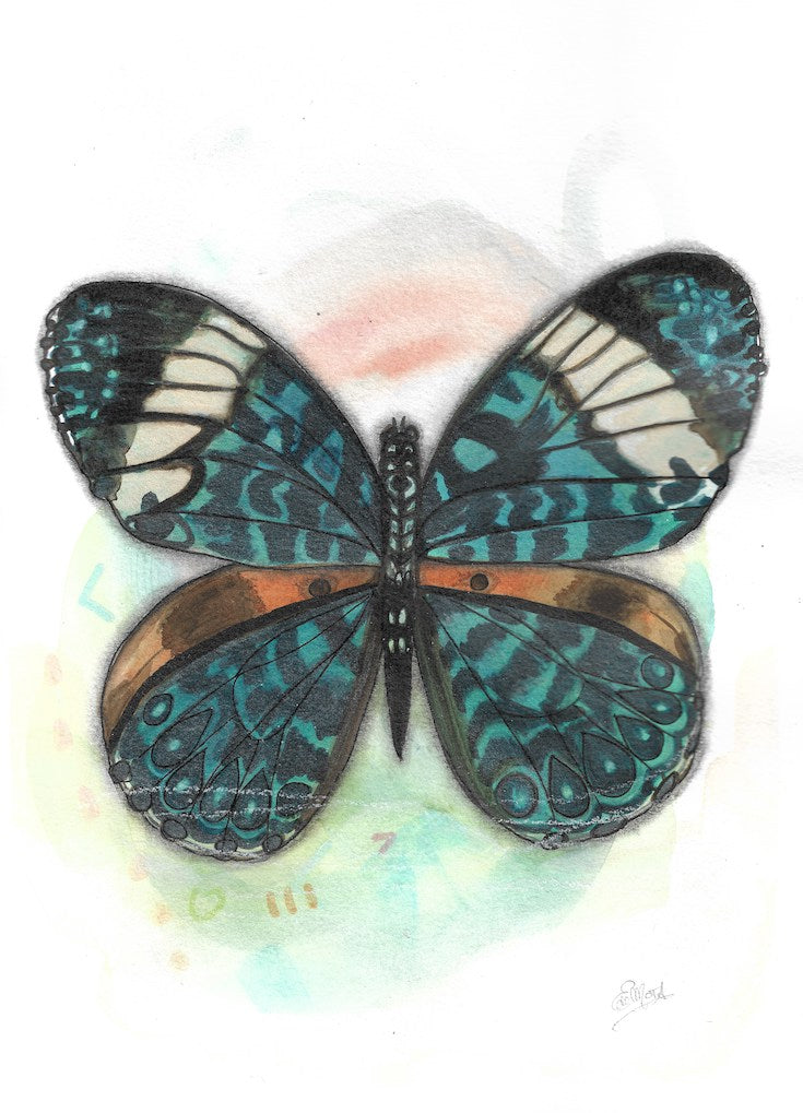 Butterfly, watercolor, green, orange, blue, boho decor, painting watercolor, Edwidge De Mota, Edemota