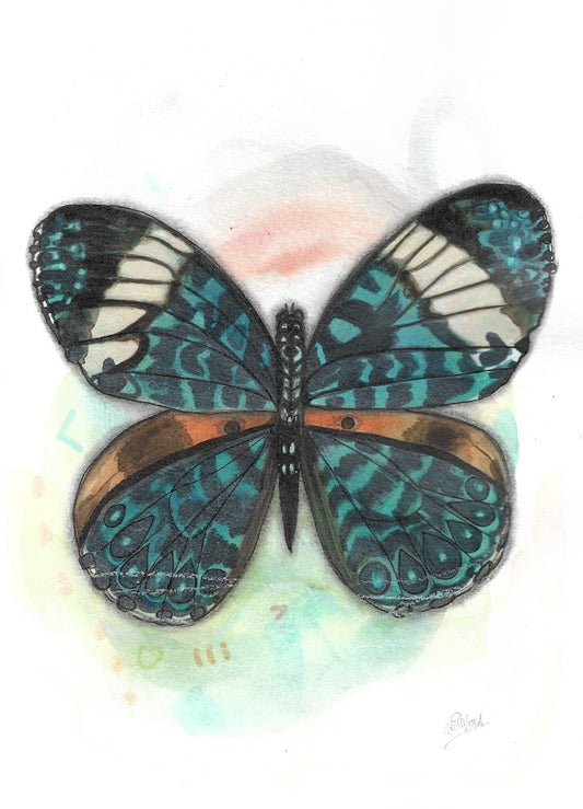 Butterfly, watercolor, green, orange, blue, boho decor, painting watercolor, Edwidge De Mota, Edemota