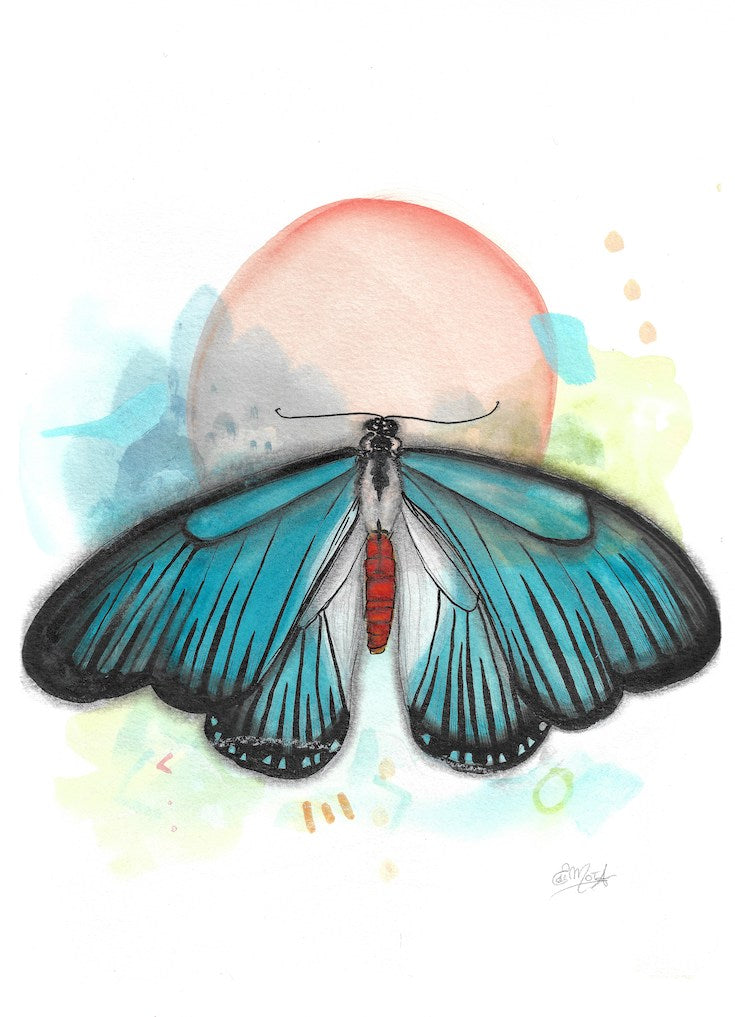 Blue Butterfly, Butterlfy, papillon, bleu, Illustration, Watercolor illustration, painting, Edemota, Edwidge De Mota, boho decor