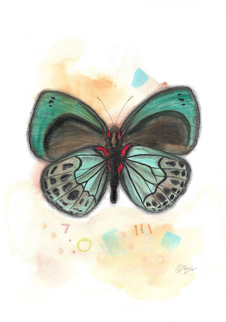Green butterfly, red, Papillon vert, rouge, Aqua, yellow, brown, black, boho decor, watercolor, painting, watercolor illustration, Edwidge De Mota, Edemota