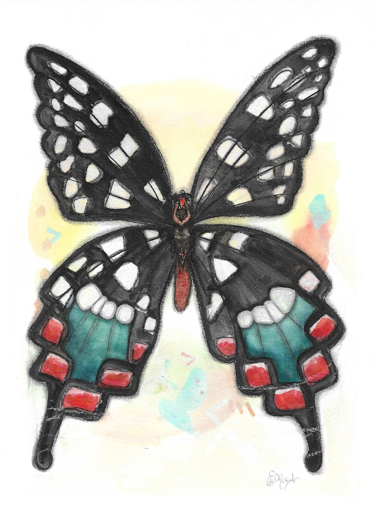 Black Butterfly, poky dot, Red, green, Papillon noir, vert, rouge, petit poids, boho decor, Illustration, watercolor, painting, hand drawing, hand made, Edemota, Edwidge De Mota 