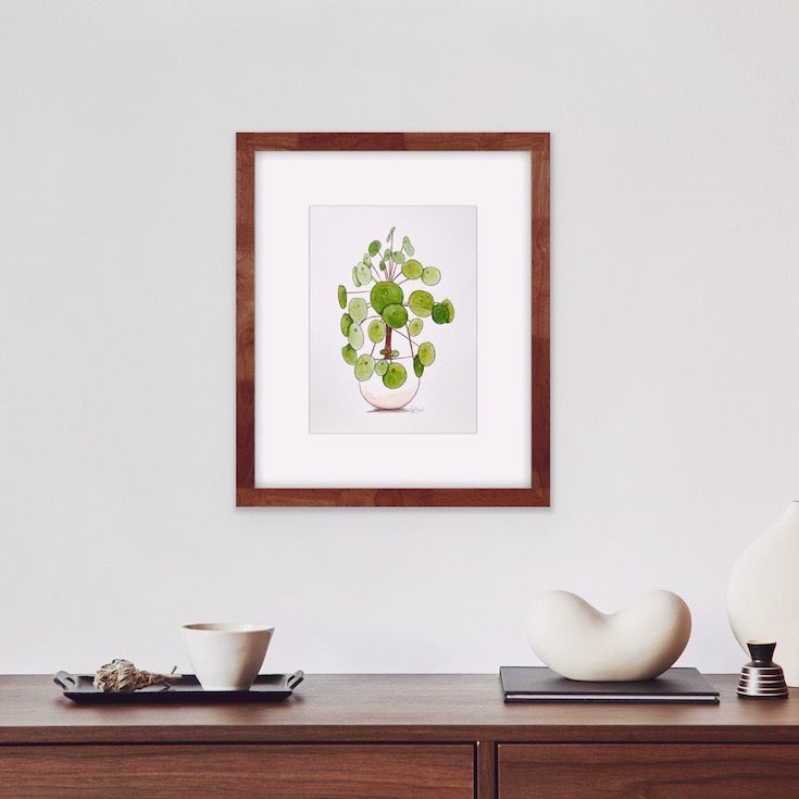 Chinese Monkey Money Plant, Money Plant, Watercolor, Illustration, Hand made illustrations, Green watercolor, Golden green watercolor, Edemota, Edwidge De Mota, Plant illustration, Feng shui