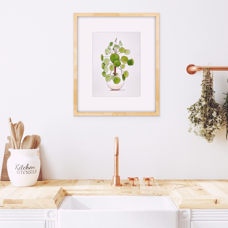 Chinese Monkey Money Plant, Money Plant, Watercolor, Illustration, Hand made illustrations, Green watercolor, Golden green watercolor, Edemota, Edwidge De Mota, Plant illustration, Feng shui