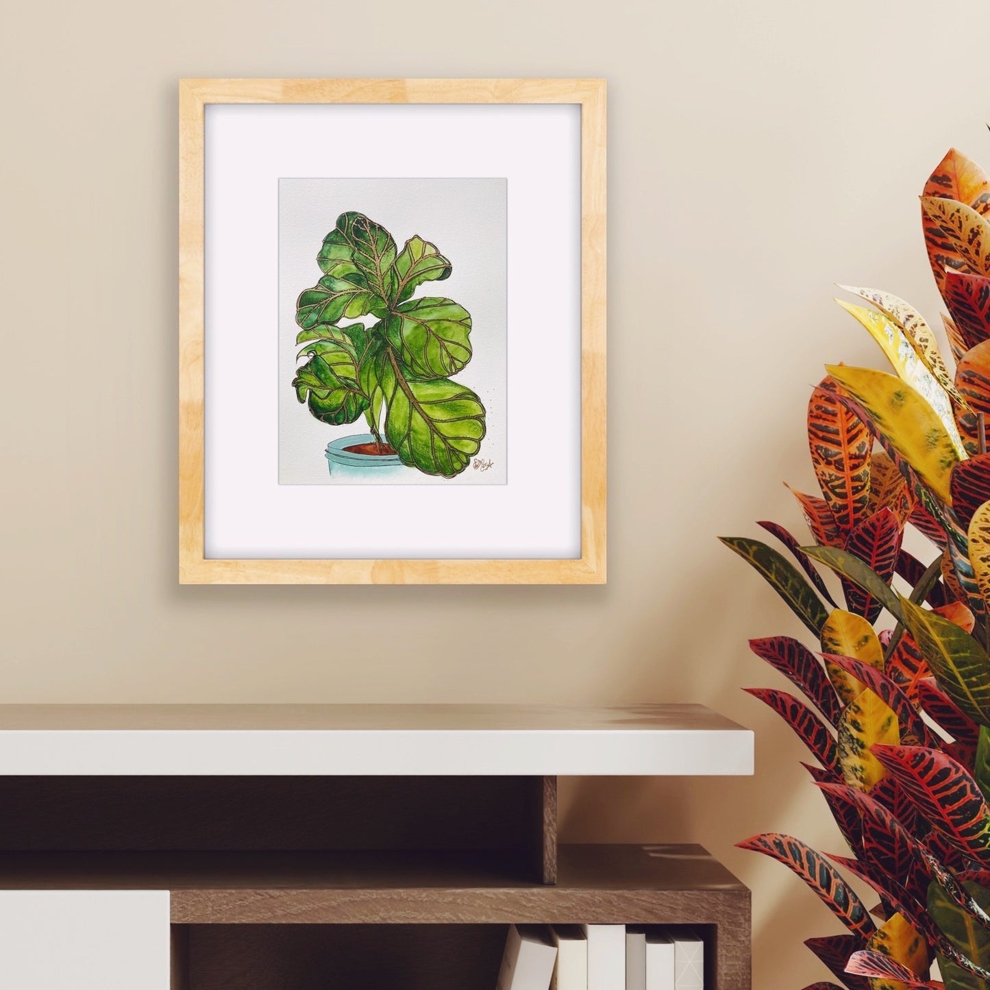 Figuier  | Fiddle fig tree