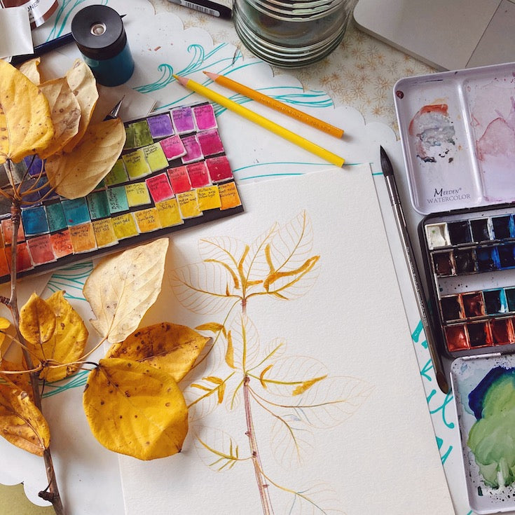Tree leaves, Golden leaves, Watercolor, Sweet watercolor artwork, Tremble tree leaves, Illustration