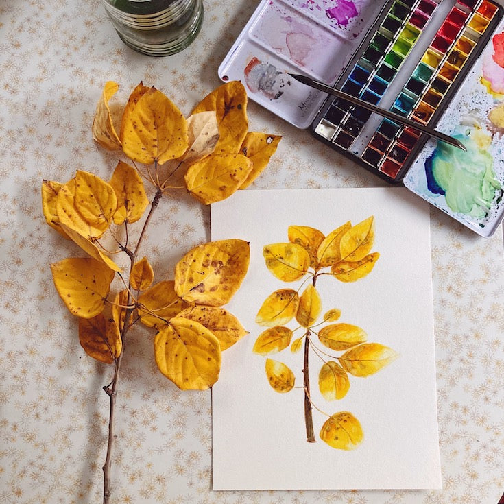 Tree leaves, Golden leaves, Watercolor, Sweet watercolor artwork, Tremble tree leaves, Illustration