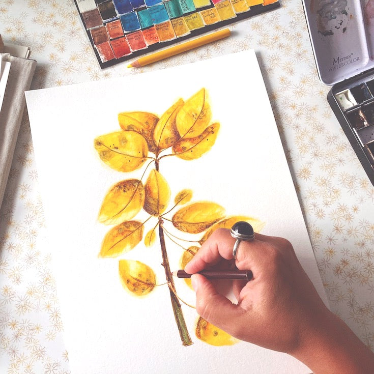 Tree leaves, Golden leaves, Watercolor, Sweet watercolor artwork, Tremble tree leaves, Illustration