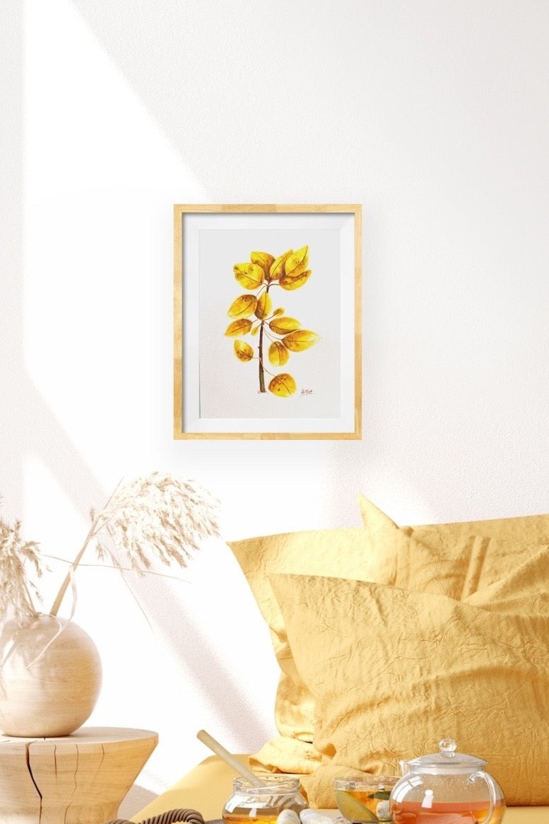 Tree leaves, Golden leaves, Watercolor, Sweet watercolor artwork, Tremble tree leaves, Illustration