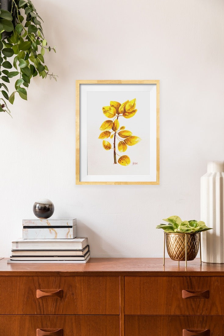 Tree leaves, Golden leaves, Watercolor, Sweet watercolor artwork, Tremble tree leaves, Illustration
