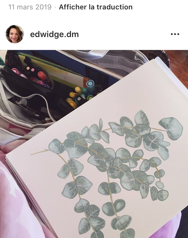 Eucalyptus branch, Sweet branch of eucalyptus, watercolor, aquarelle