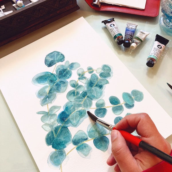 Eucalyptus branch, Sweet branch of eucalyptus, watercolor, aquarelle