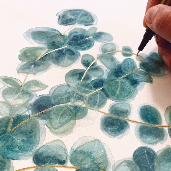 Eucalyptus branch, Sweet branch of eucalyptus, watercolor, aquarelle