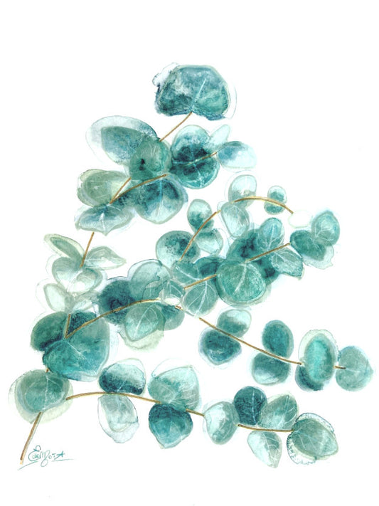 Eucalyptus branch, Sweet branch of eucalyptus, watercolor, aquarelle
