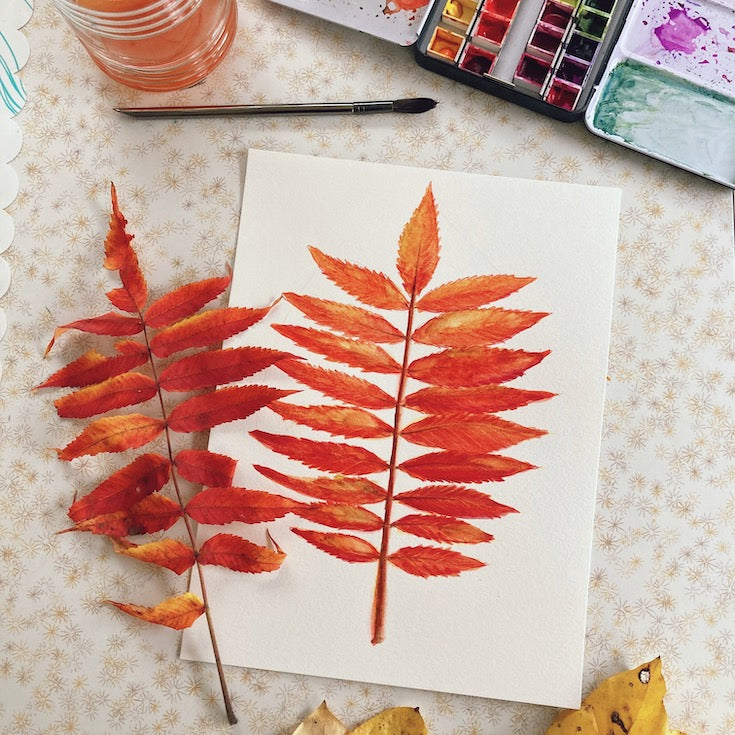 Staghorn sumac, illustration, Sumac Vinaigrier, watercolor, aquarelle, Home decor, wall art