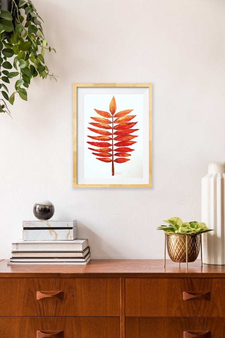Staghorn sumac, illustration, Sumac Vinaigrier, watercolor, aquarelle, Home decor, wall art