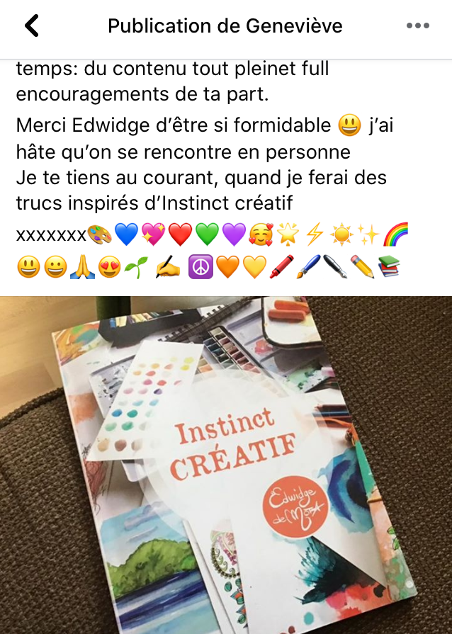 Instinct créatif  (le Livre)