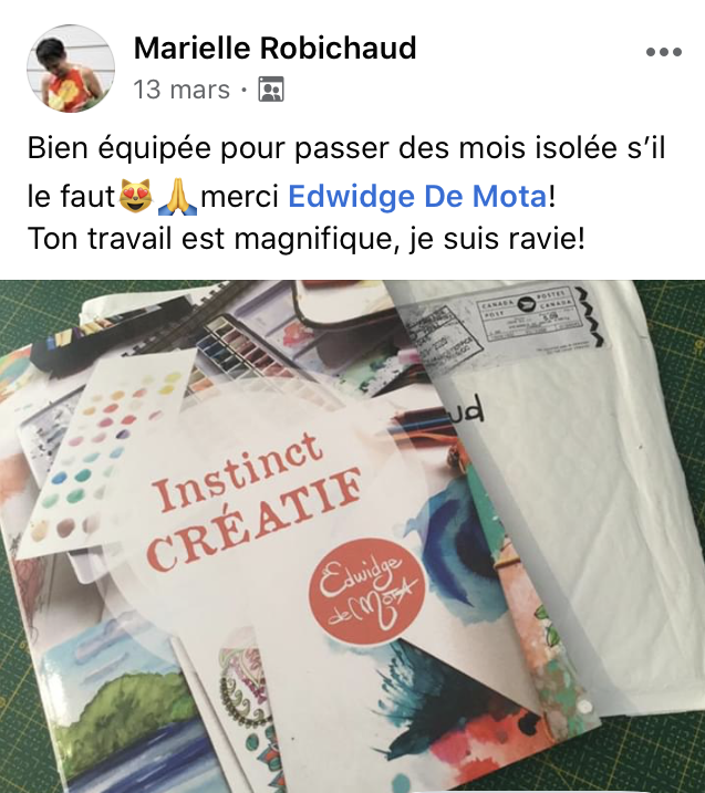 Instinct créatif  (le Livre)